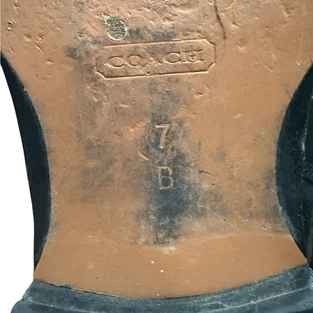 Coach mulan leather